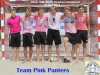 13 Pink Panters